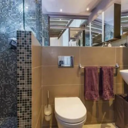 Splendid Atypical Loft St Germain *