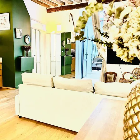 Splendid Atypical Loft St Germain