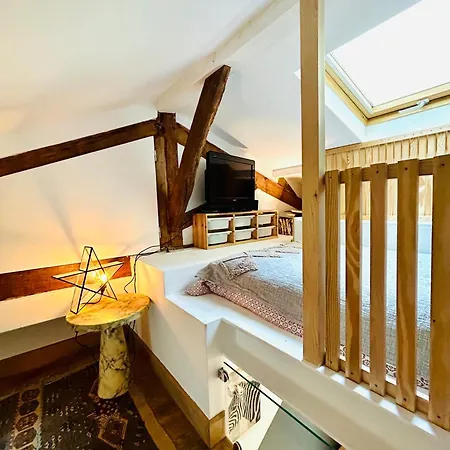 Splendid Atypical Loft St Germain Apartment Paris