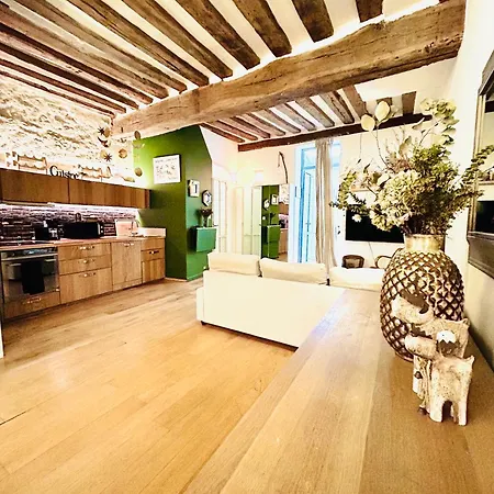 Splendid Atypical Loft St Germain Paris