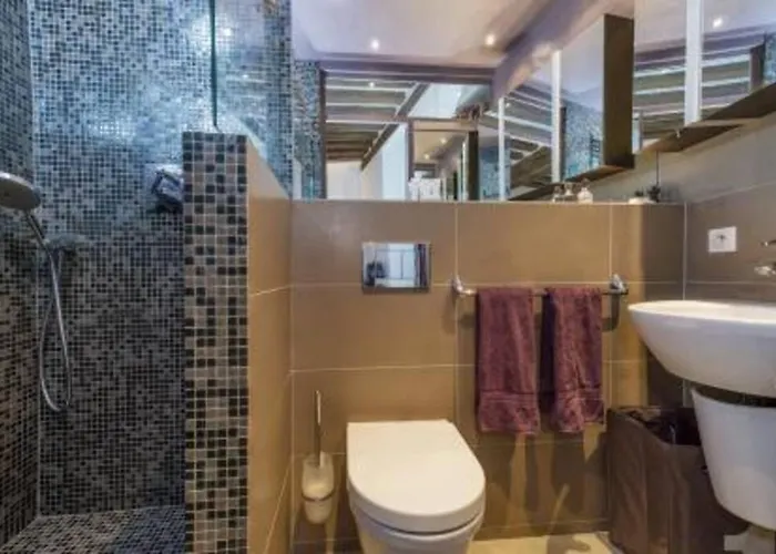 Splendid Atypical Loft St Germain *